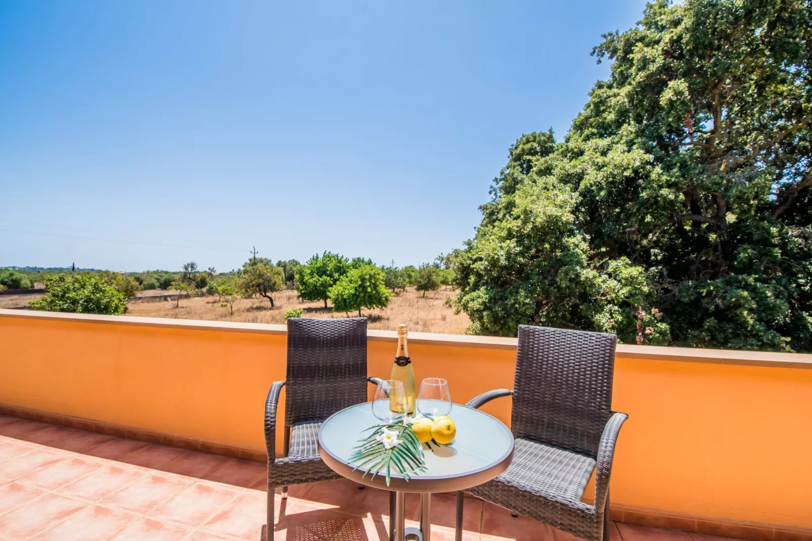 Els Moyans-Terrasse
