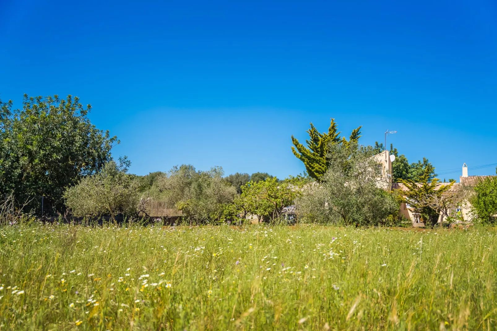 Finca Es Baladre-Zones d'été à 1 km