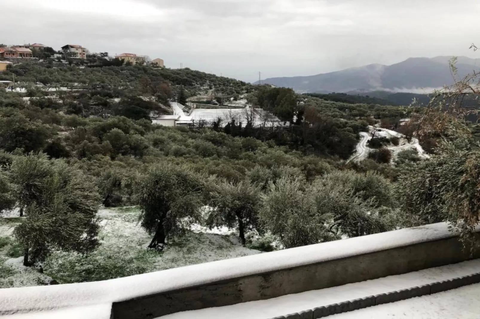 RESIDENCE BORGO TRE ROSE - Apartment TYPE A-Areas summer 20km