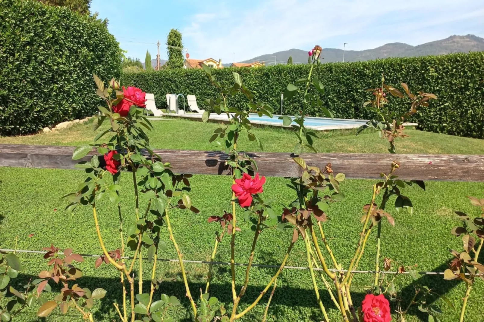 Casa Giglio-Gardens summer
