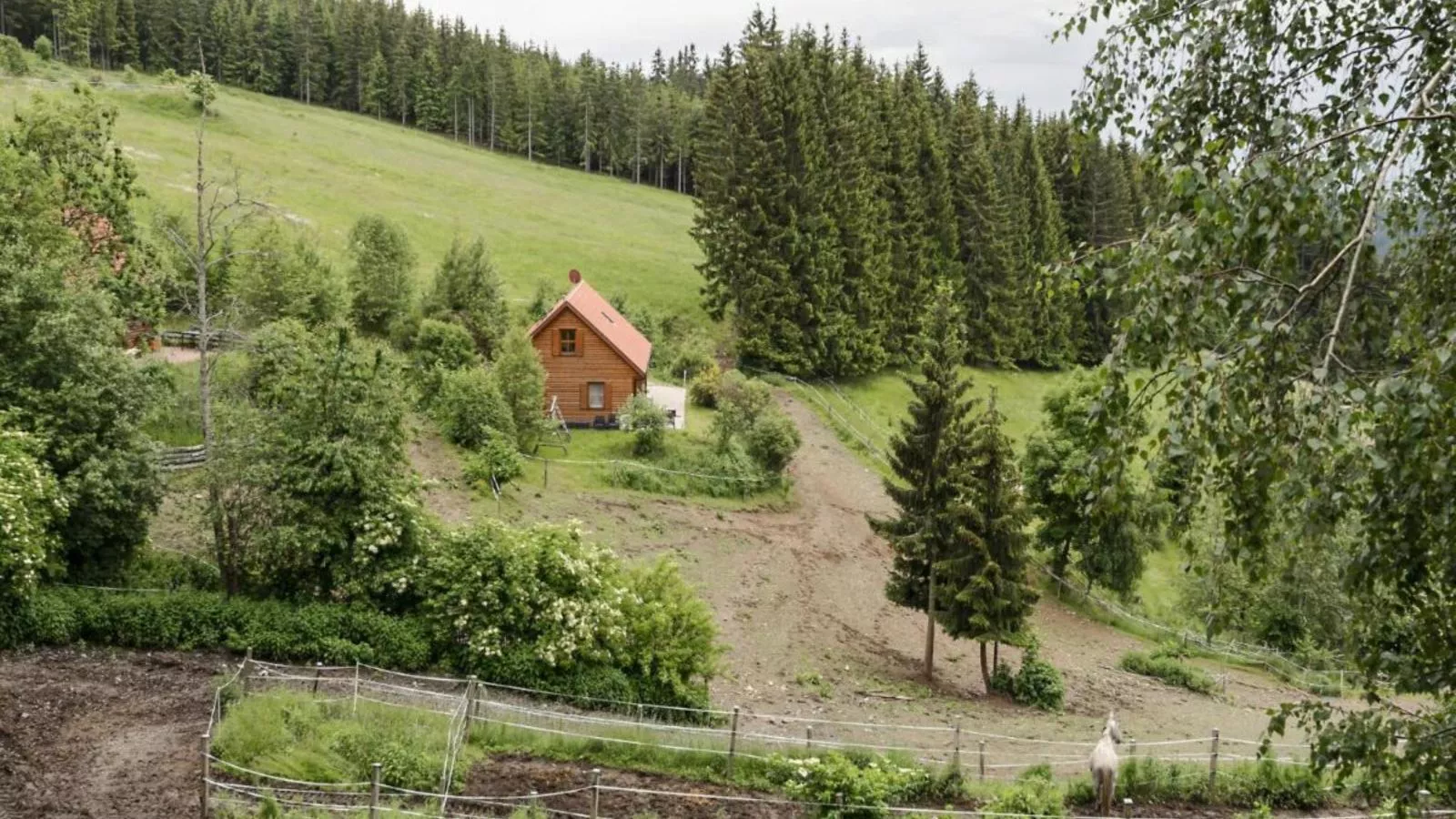 Karawankenpanorama-Areas summer 1km