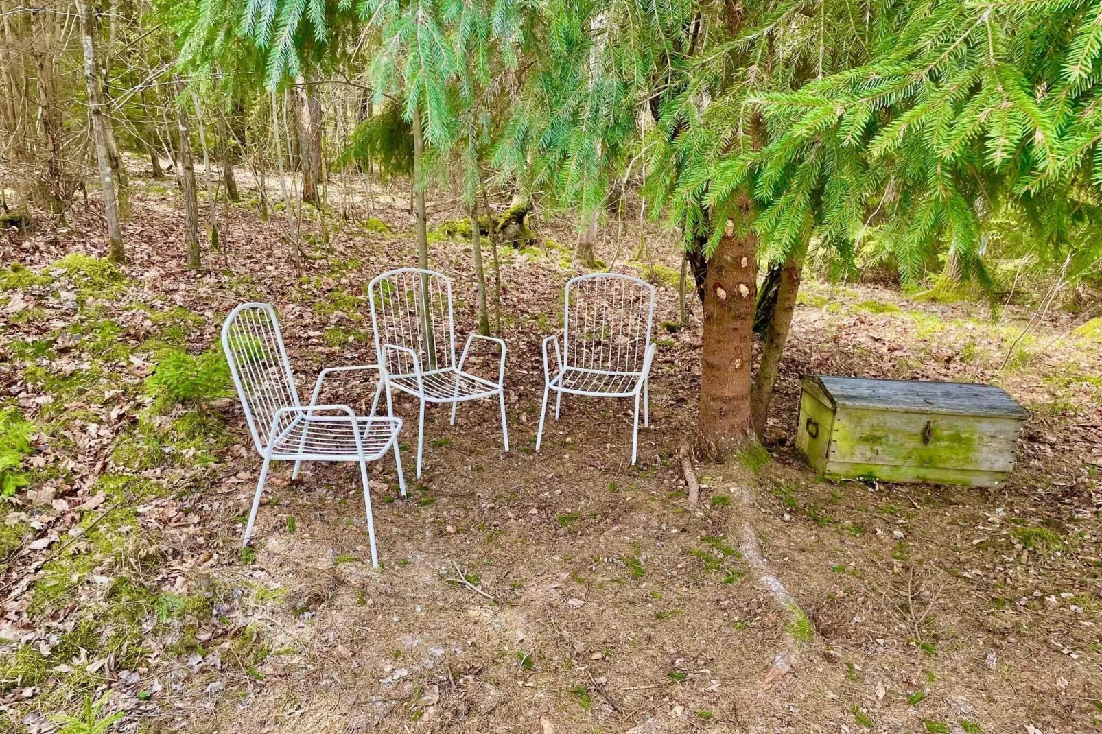 Maison de vacances pour 4 a Backaryd-By Traum-Non étiqueté
