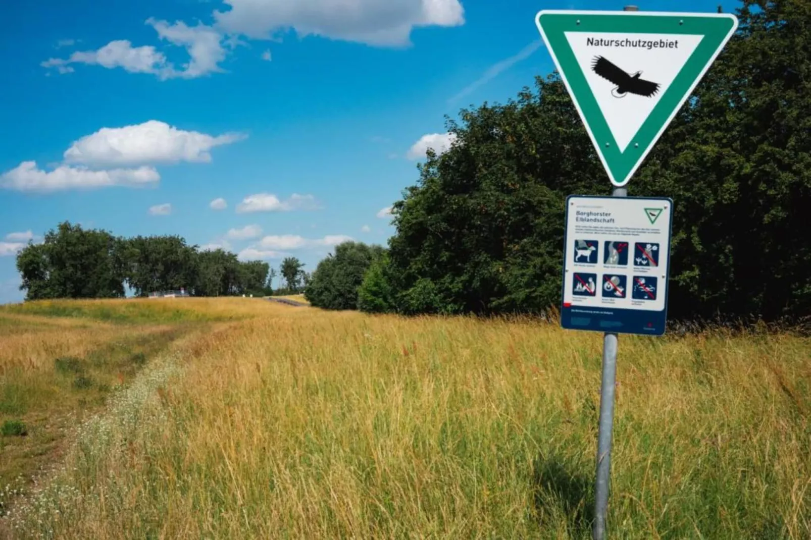 Schöne Ferienwohnung in Geesthacht-Areas summer 20km