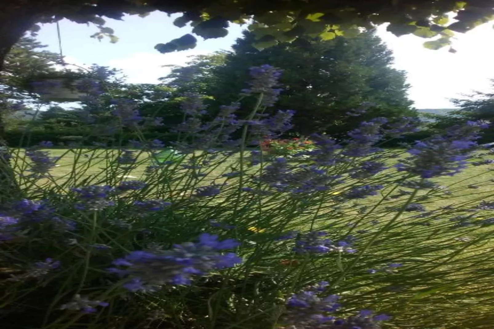 Casa di Lavanda-Gebiete Sommer 20 km