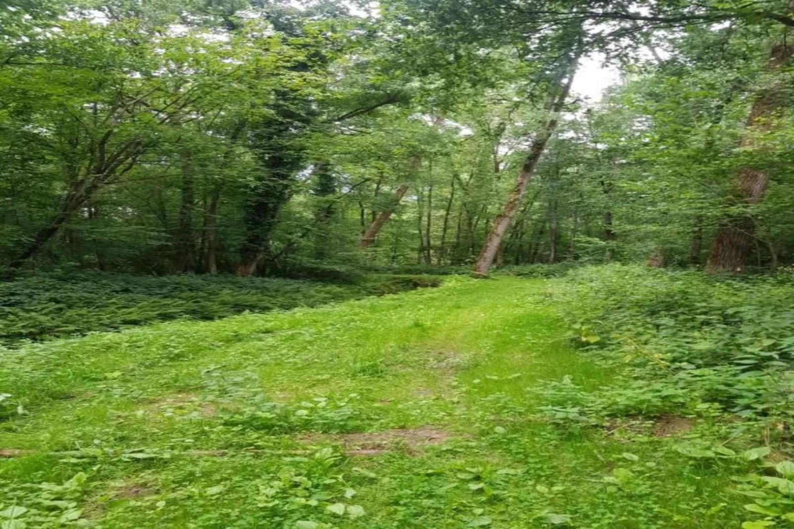 De oude stal-Gebiete Sommer 20 km