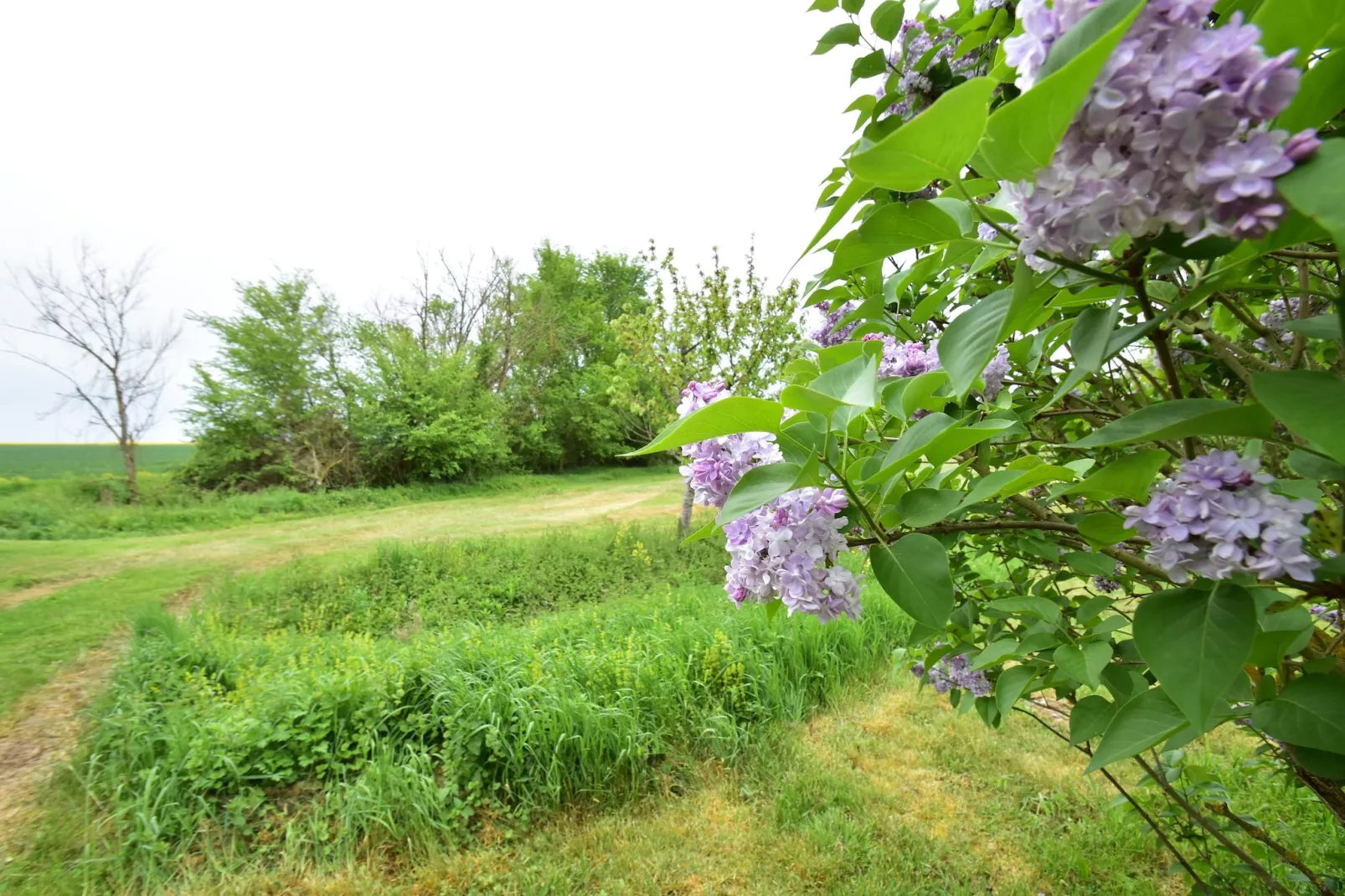 Gite 6 pers près de Châteauroux-Gebiete Sommer 1 km