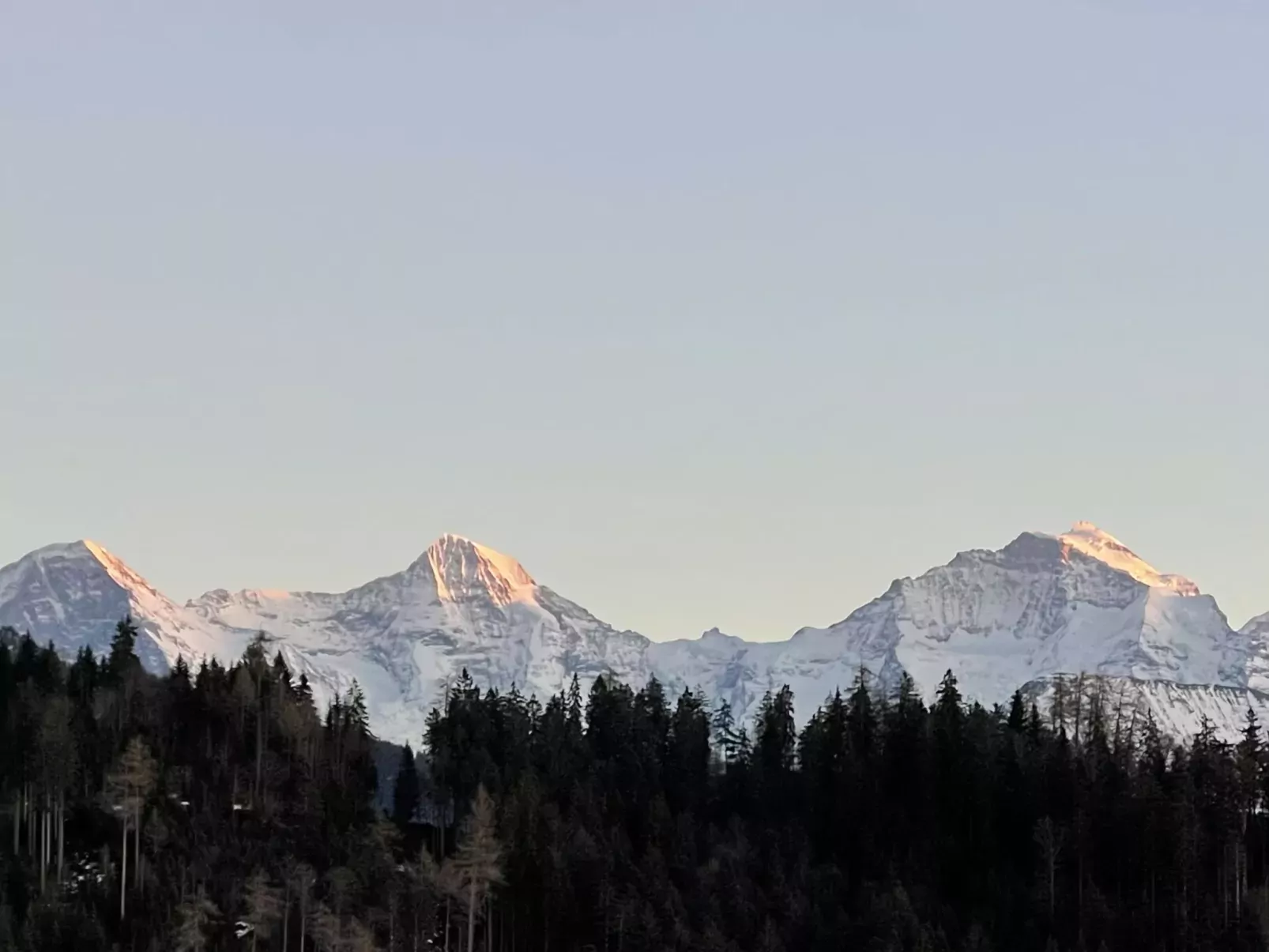 Panoramaferienwohnung Waldkircher-Draußen