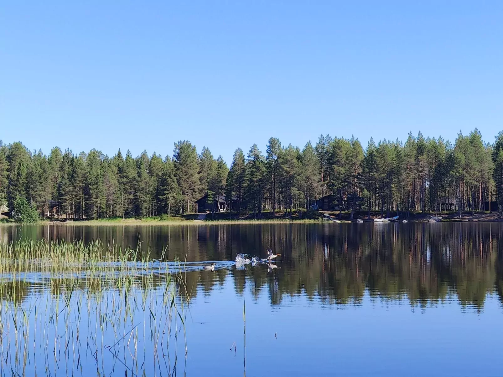 Syväniemi-Outside