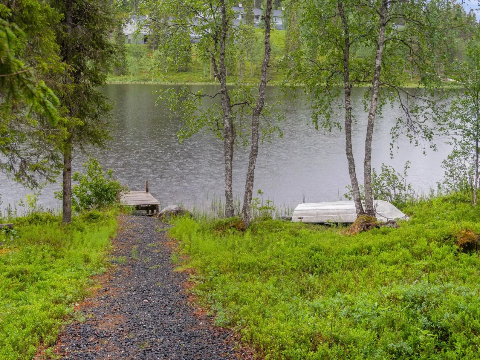 Muuttohaukka-Outside