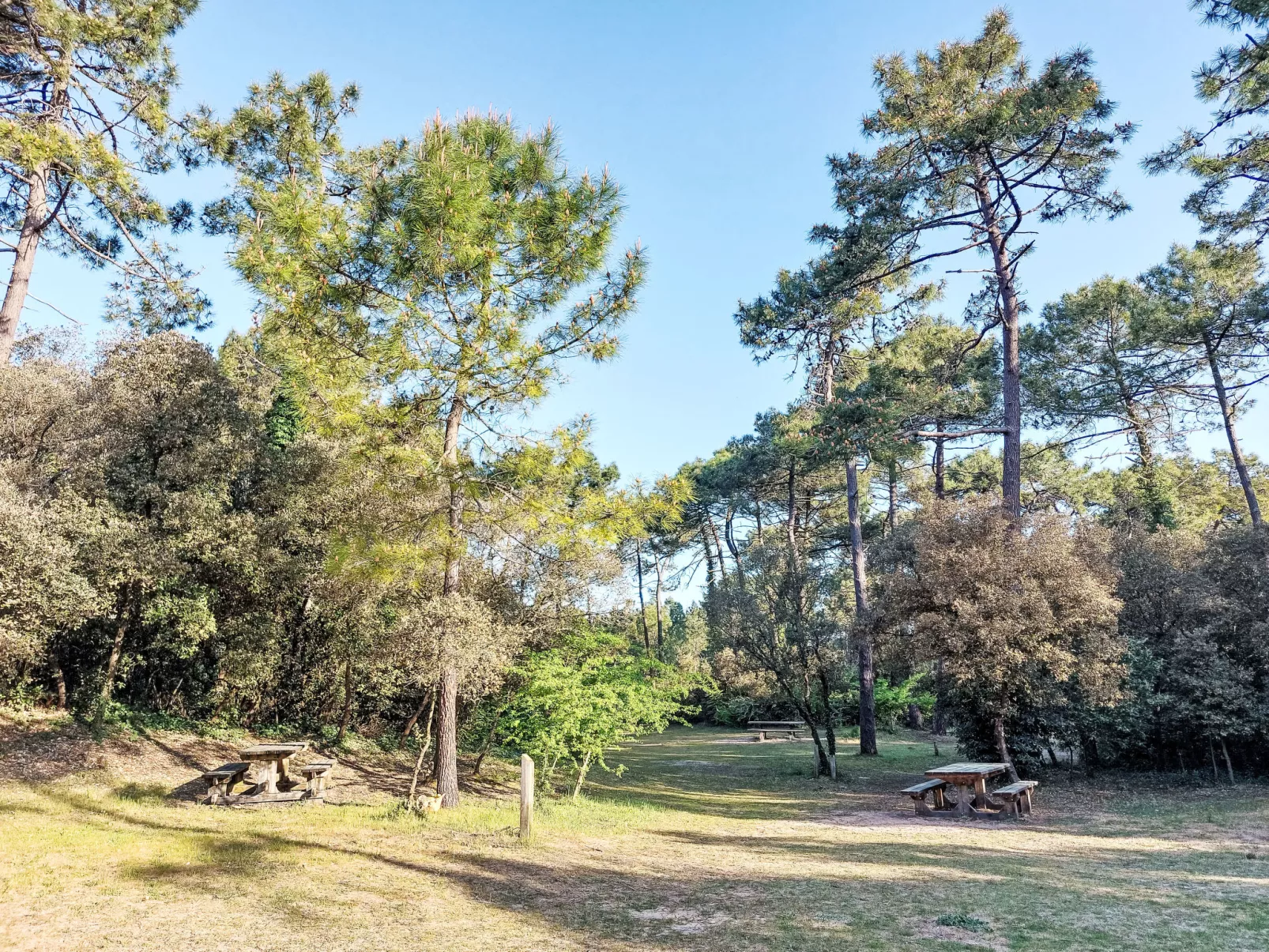 Proche Océan, forêt et commerces-Outside