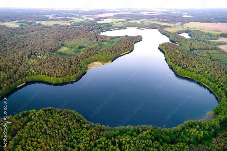 	Domek wakacyjny LAWENDA dla max 4 osób Grąbczyn-Areas summer 1km
