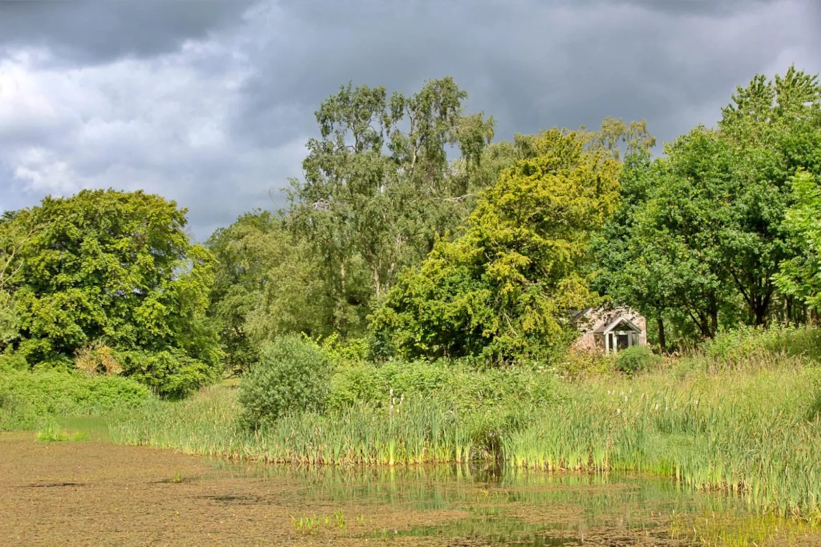 The Cottage, Shortflatt Farm-Outdoor