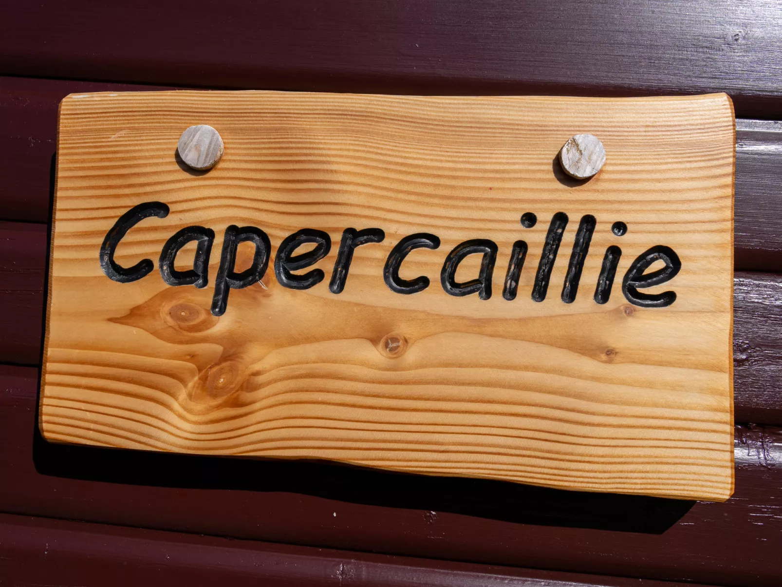 Capercaillie Lodge-Outside