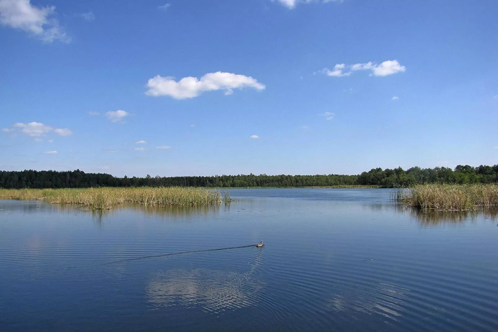 Holiday home Wilkasy-Areas summer 1km