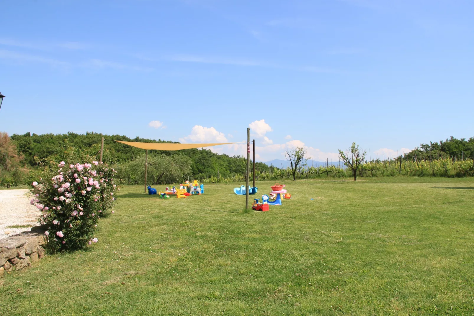 Il Chicco-Park facilities
