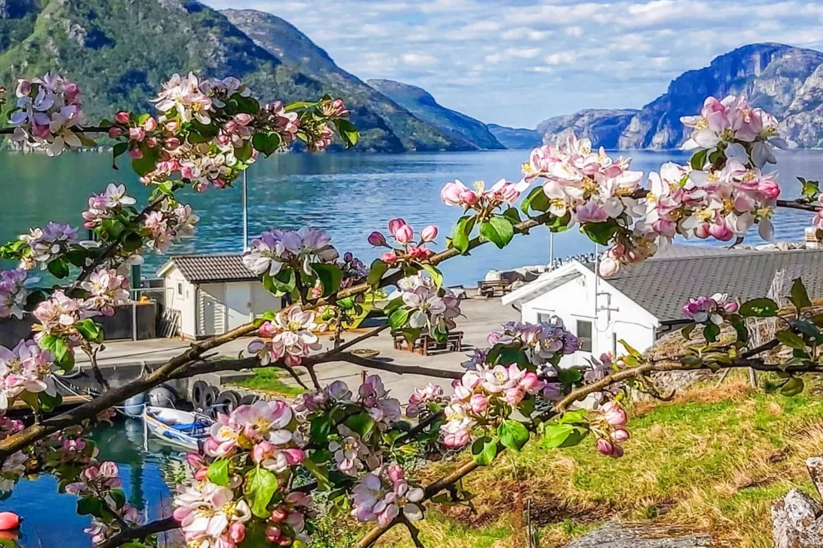 13 person holiday home in Songesand-Water view