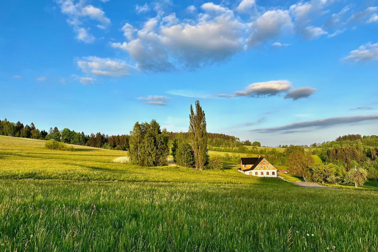 Víchová nad Jizerou LVV033-Außenbereich