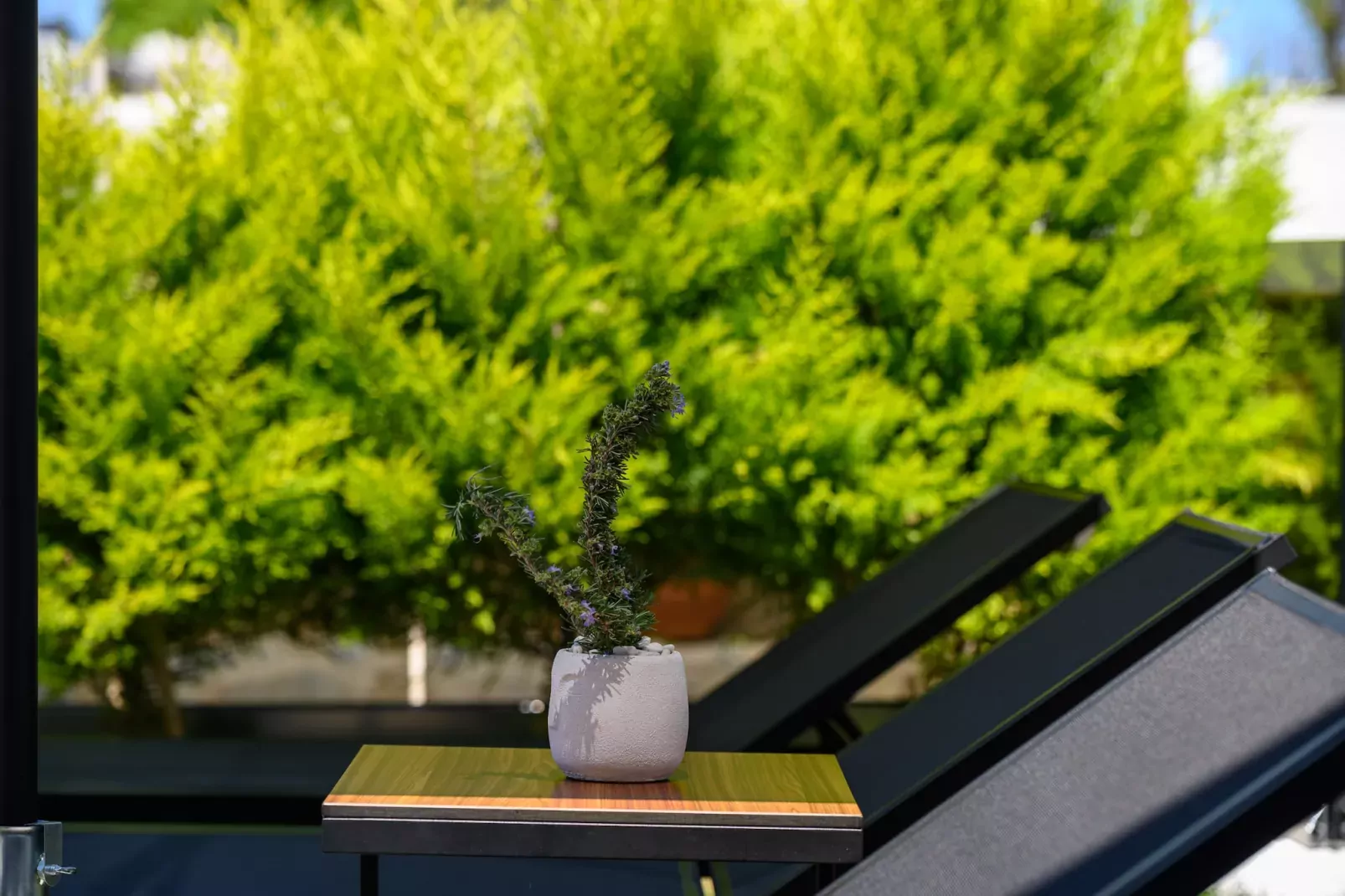 Stone Project-Extérieur