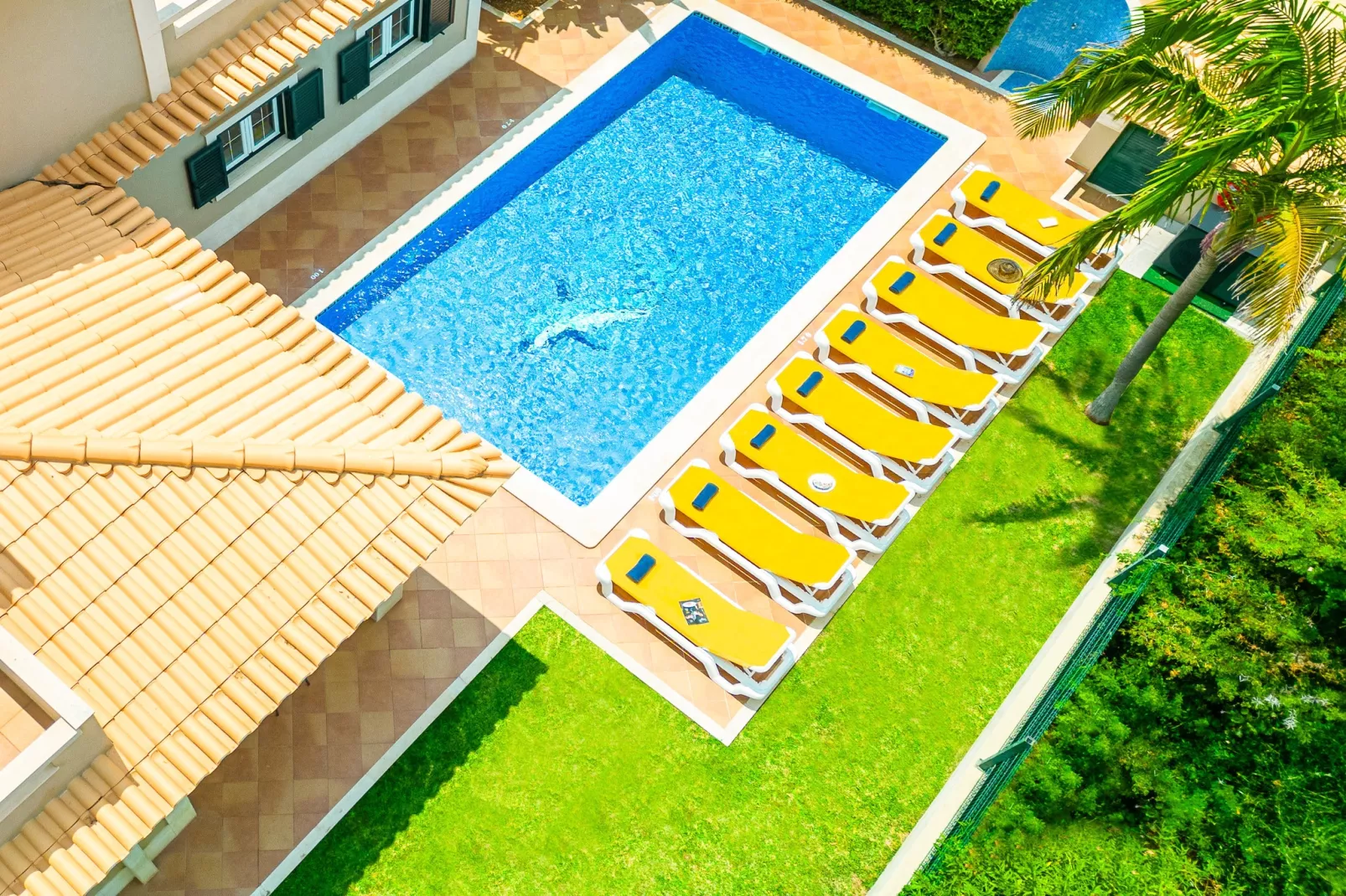 Villa Hawaii-Areas summer 1km