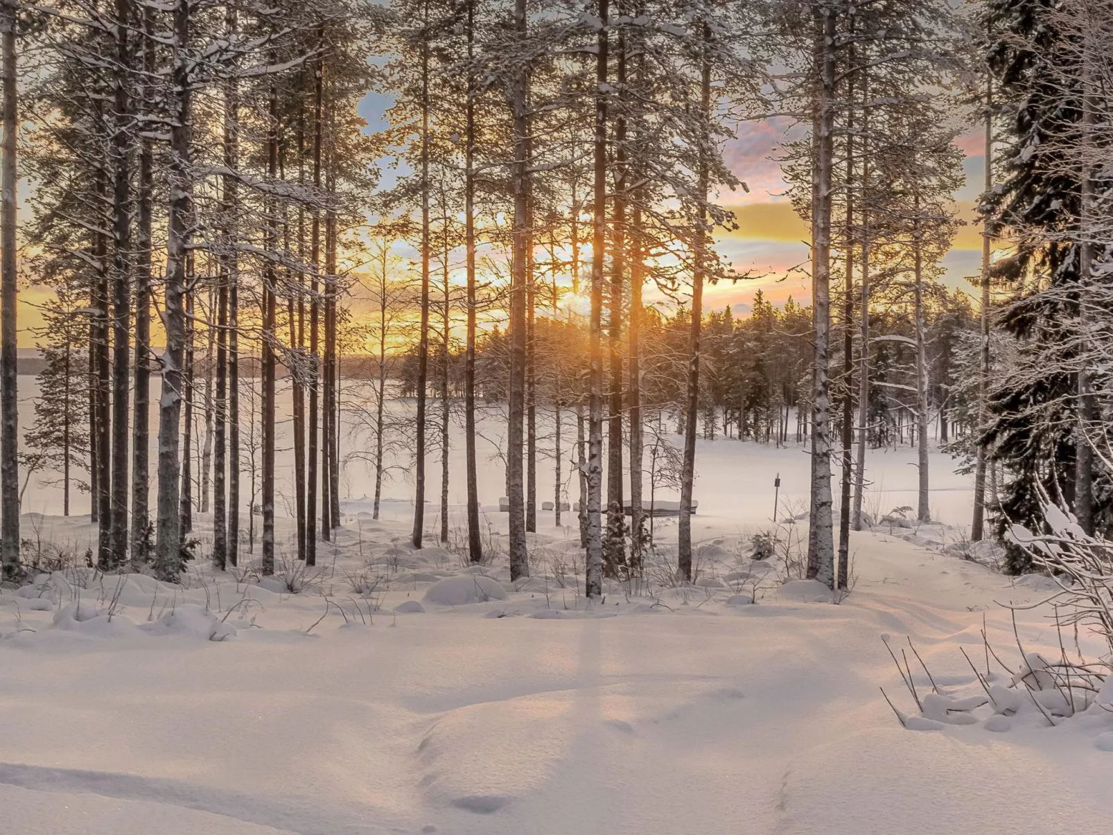 Rovaniemi ainola-Outside