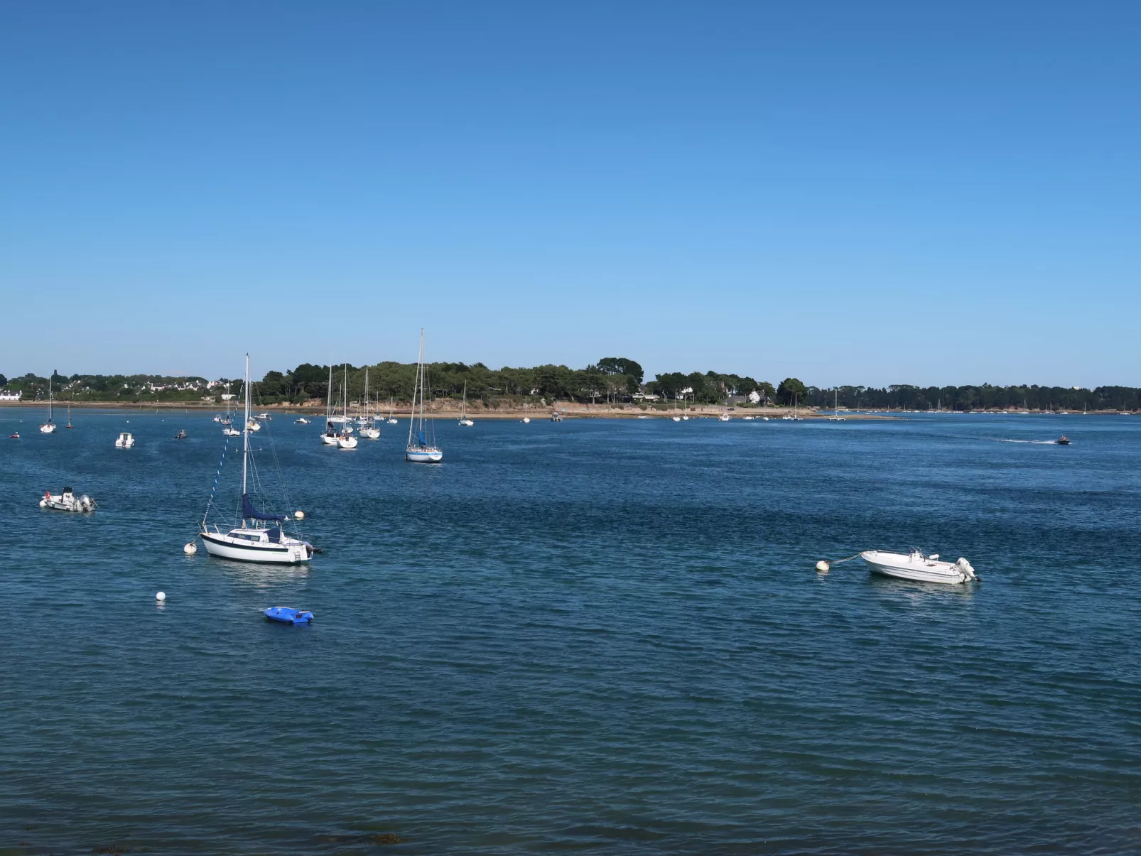 Villa de la Pointe du Blair-Environnement