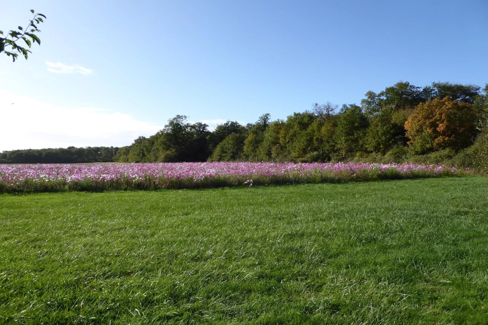Gite 6 pers près de Châteauroux-Gebiete Sommer 1 km