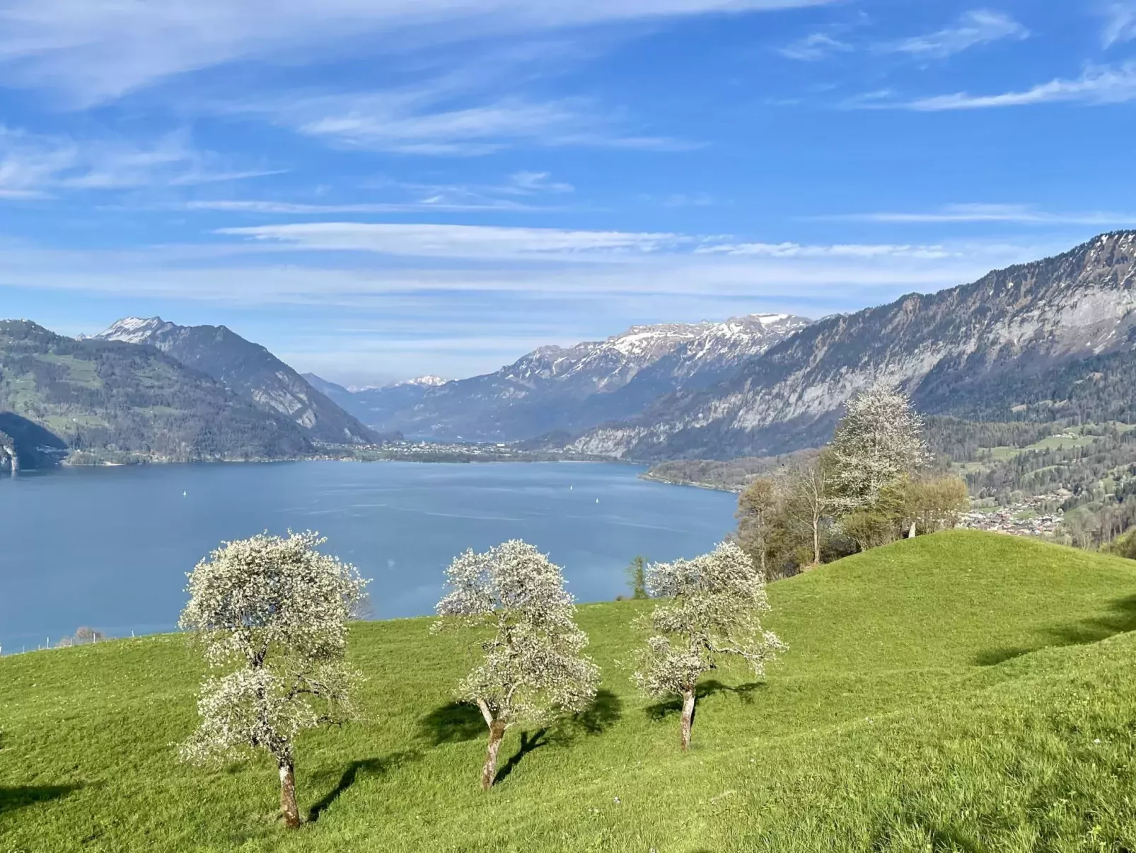 Panoramaferienwohnung Waldkircher-Draußen