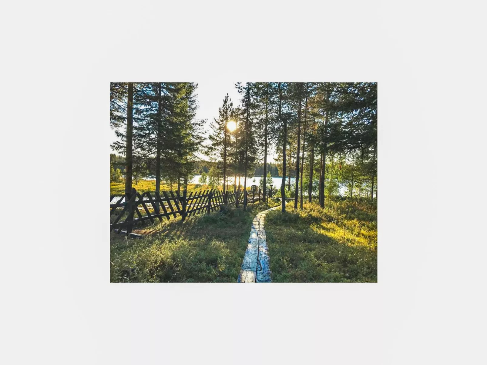Örtsylä b-Dehors