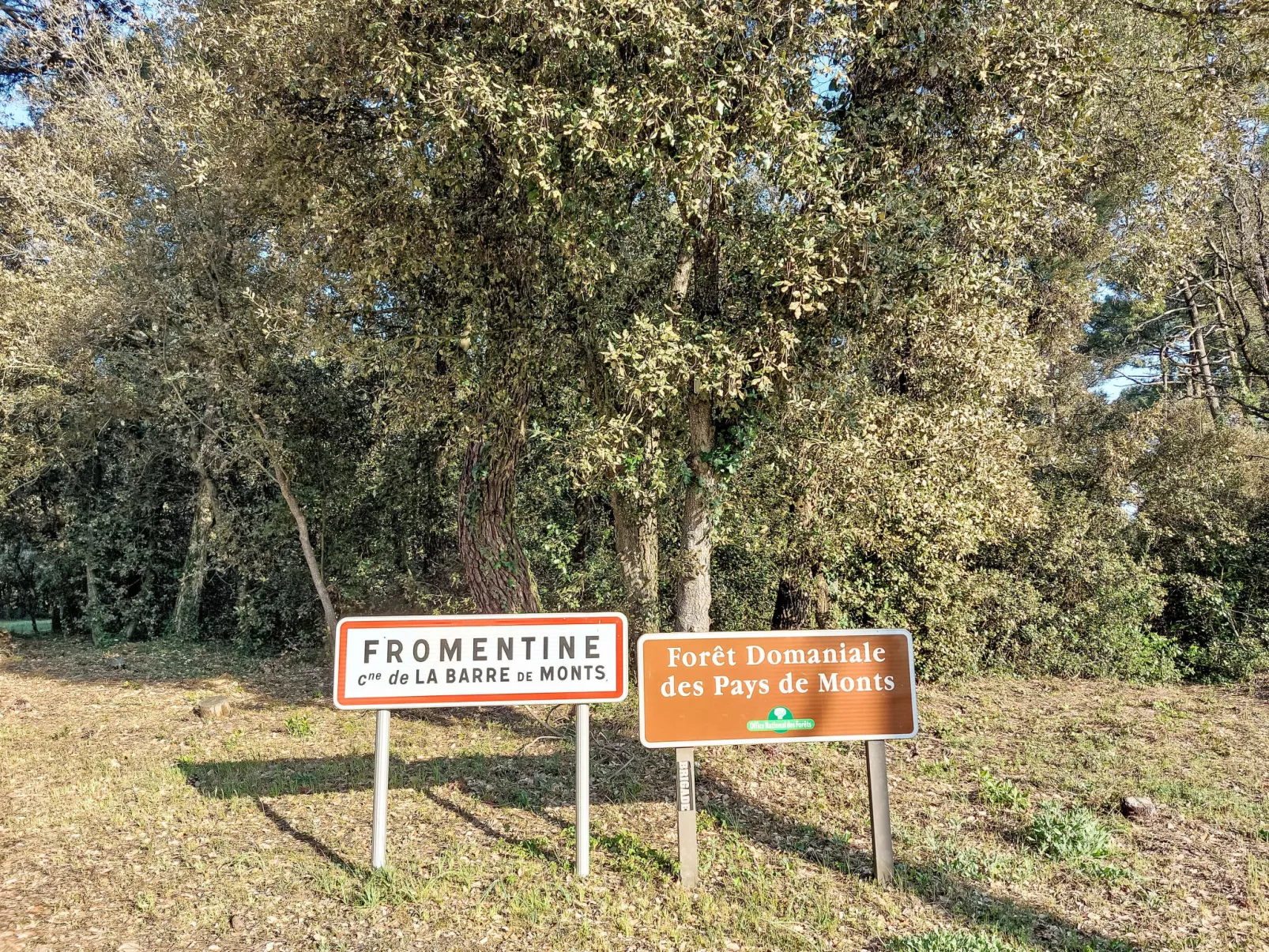 Proche Océan, forêt et commerces-Outside