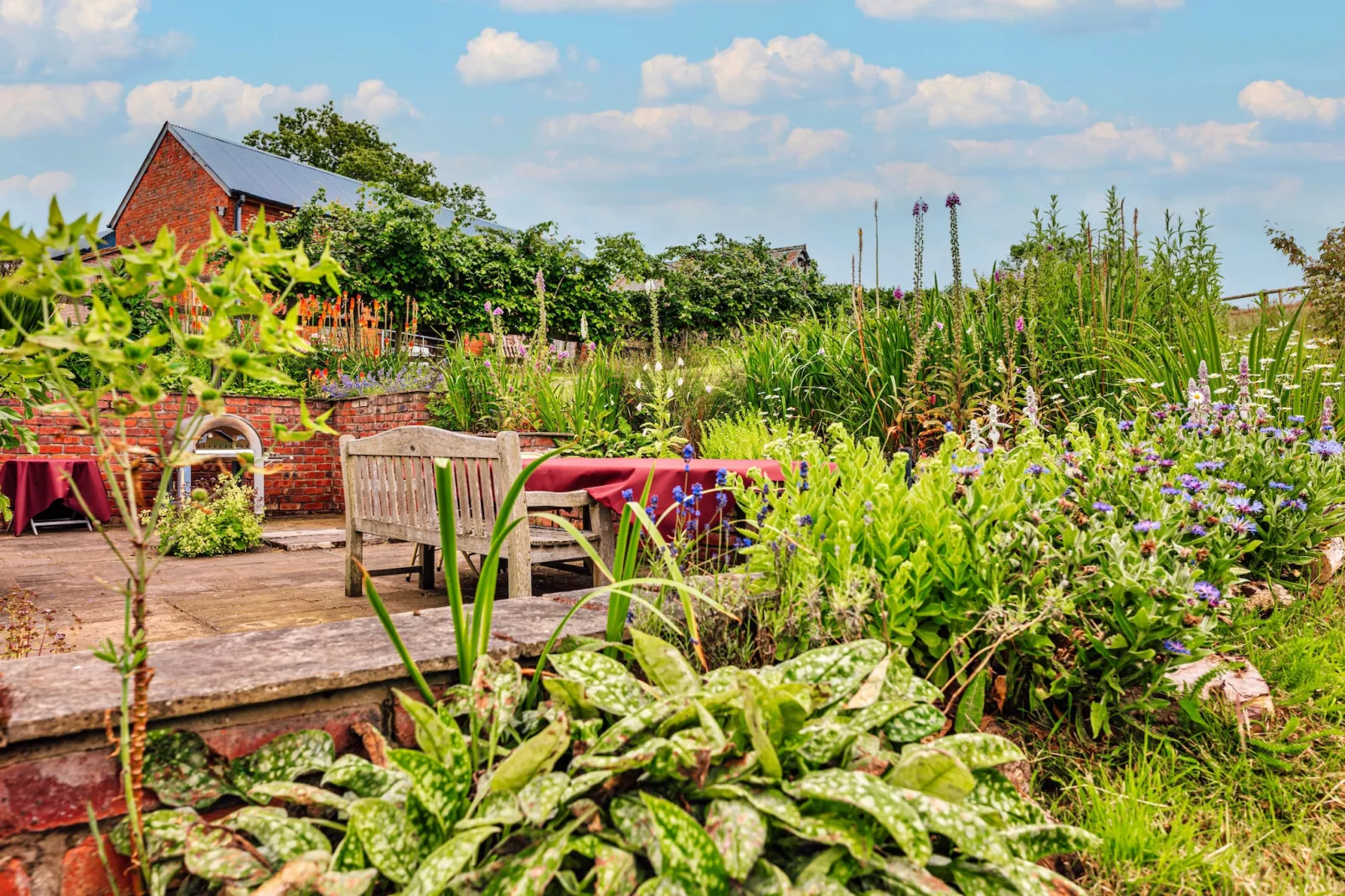 Beili Glas Cottage-Gardens summer