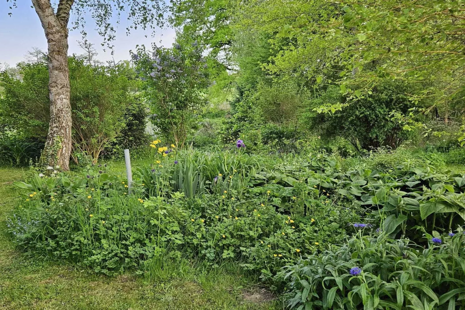 Le Dauphin bleu-Gardens summer