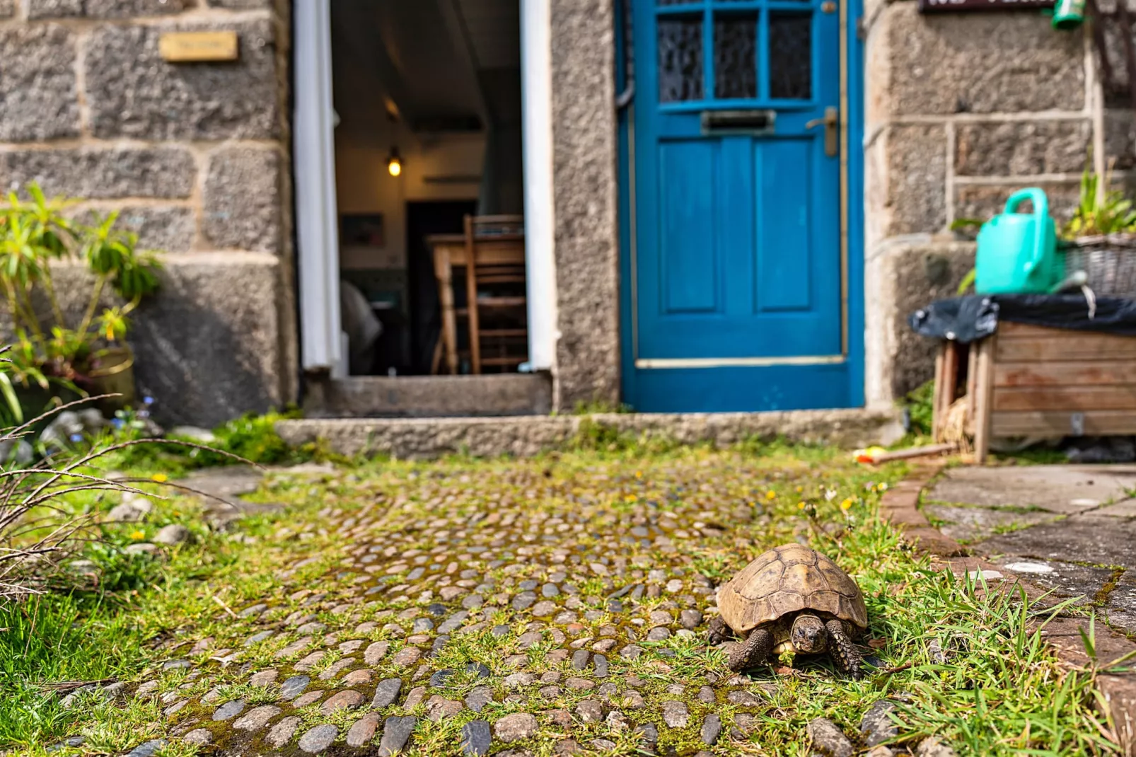 Cosy Mousehole Cottage with Sea Views-Gardens summer