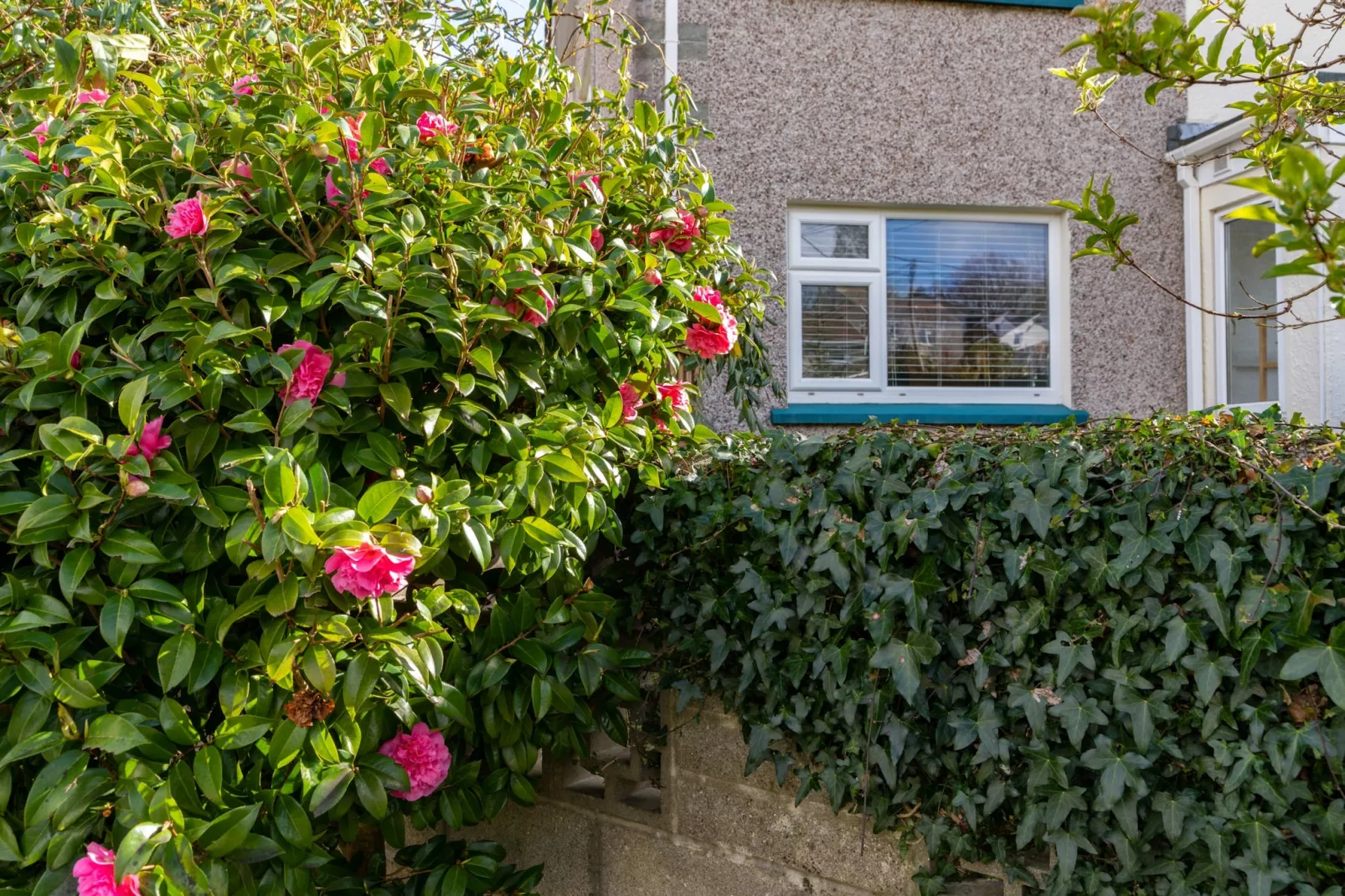 Tinners Rest-Gardens summer