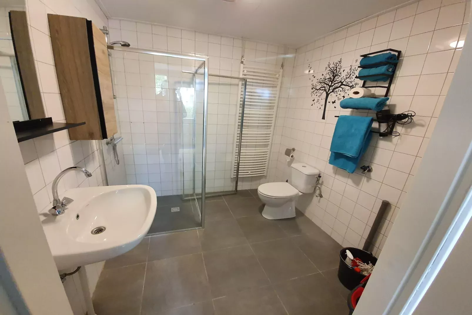 Elperhof Schoonloo 16B-Bathroom