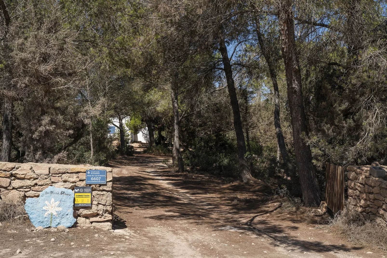 Es Lliri Blanc-Image-tags.