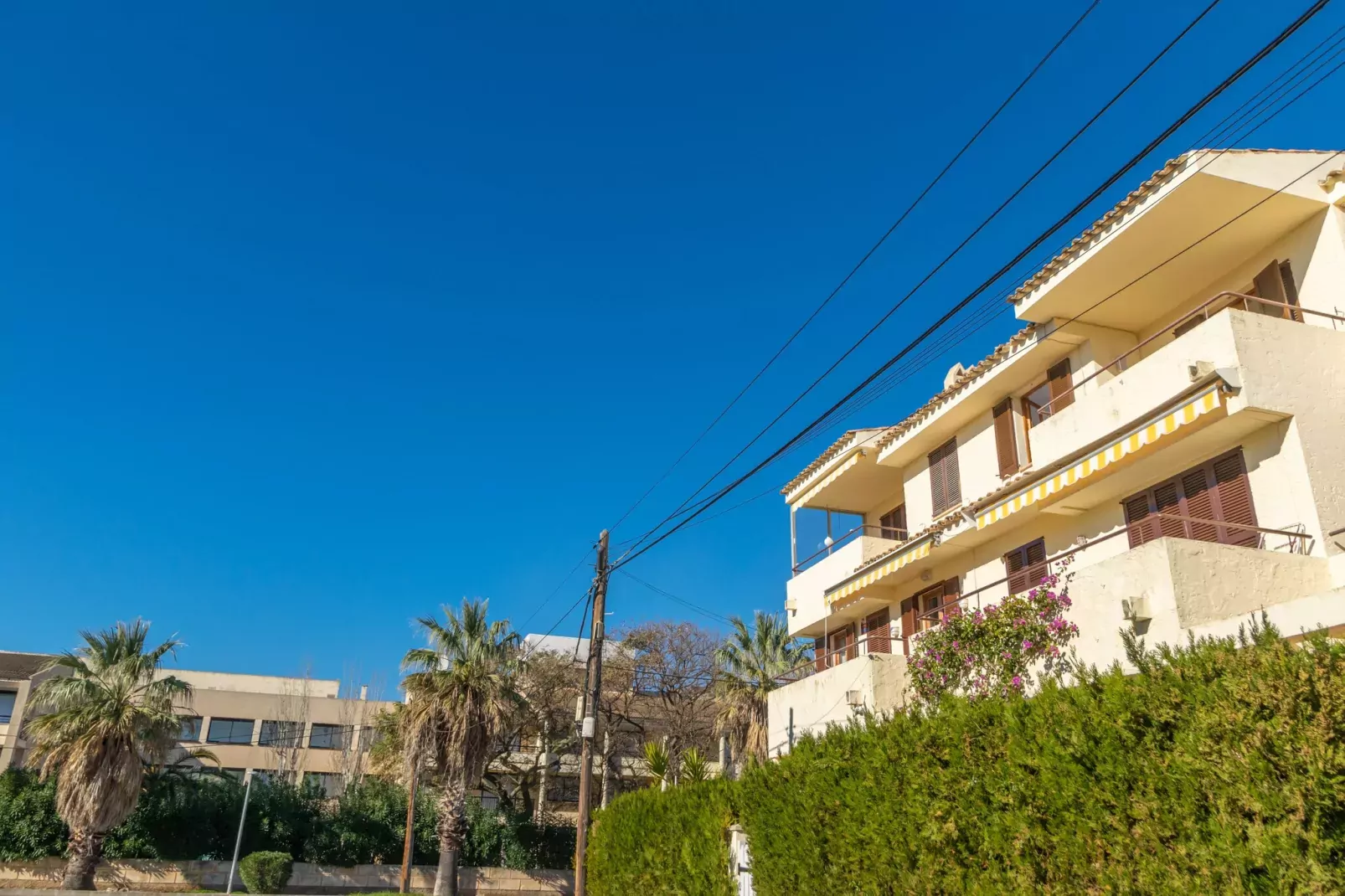 La Llimona