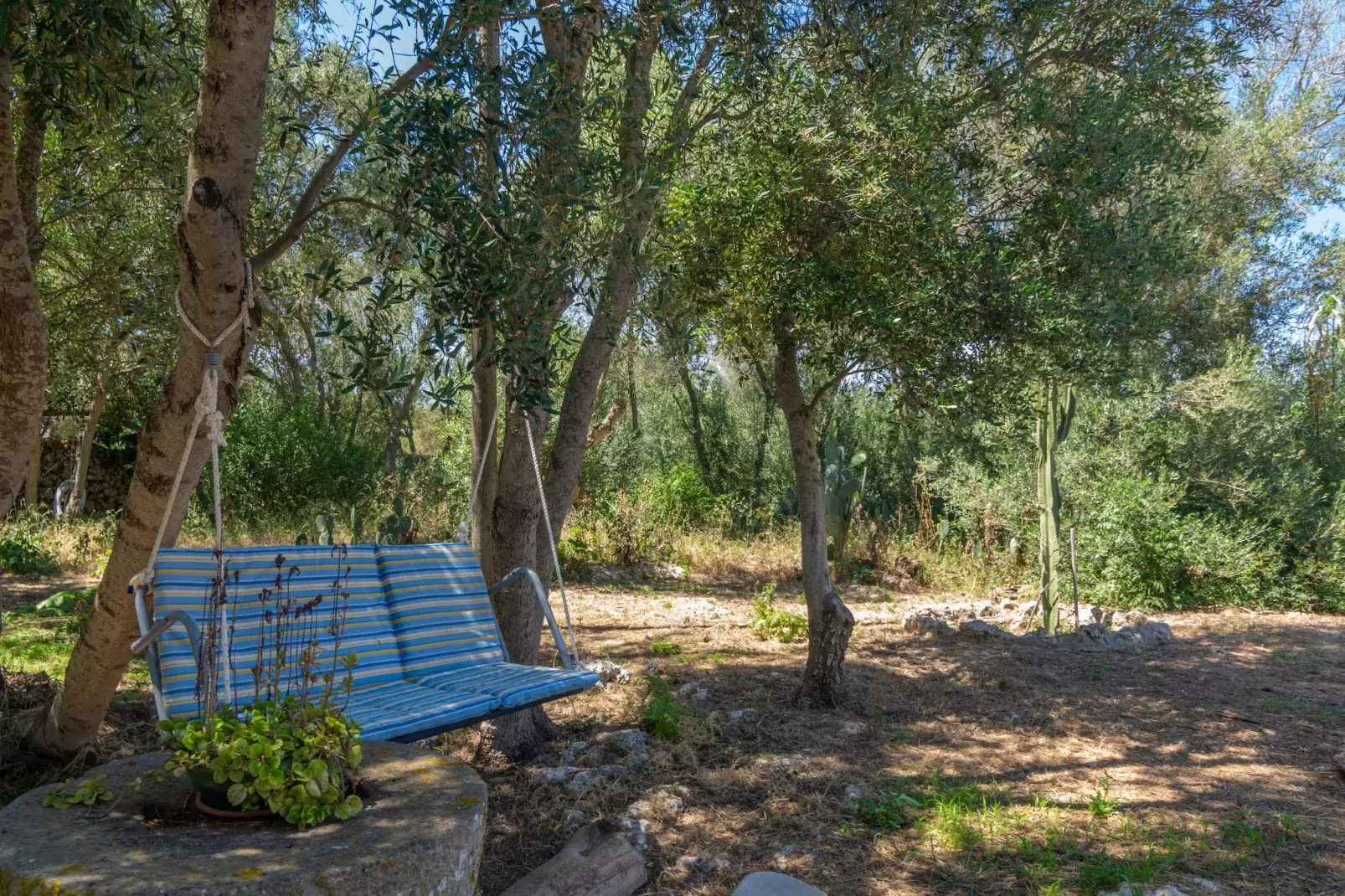 Malbuger Vell 4-Areas summer 1km