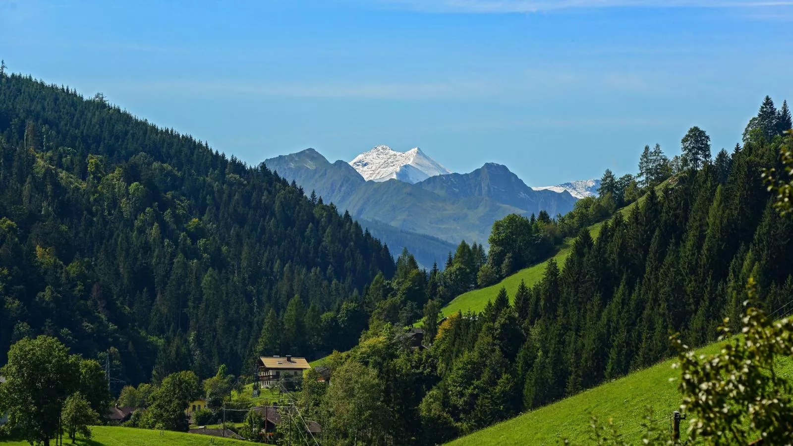 Gamslodges-Gebiete Sommer 1 km