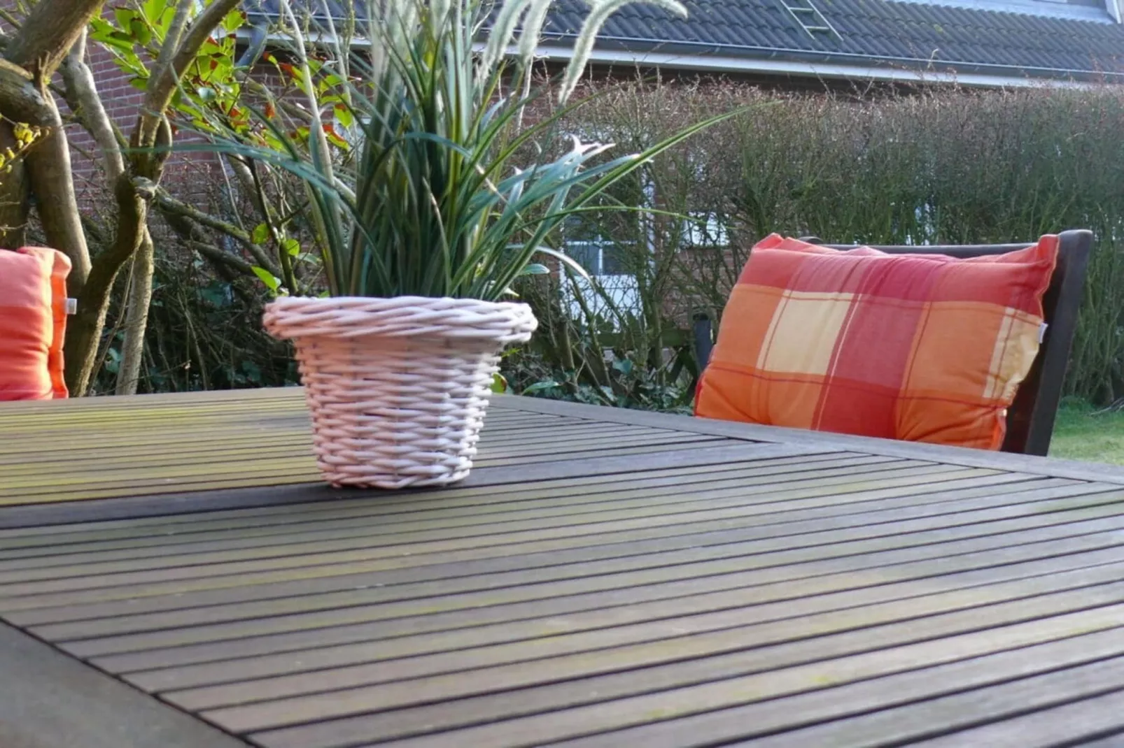 490178-Terrassenbalkon