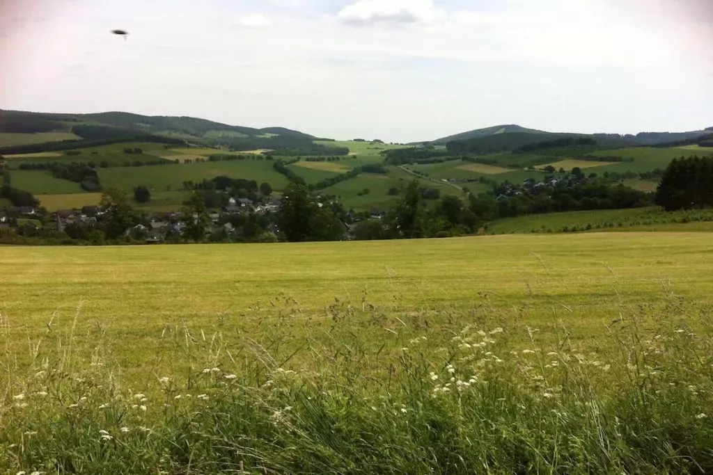 40257-Nicht getaggt