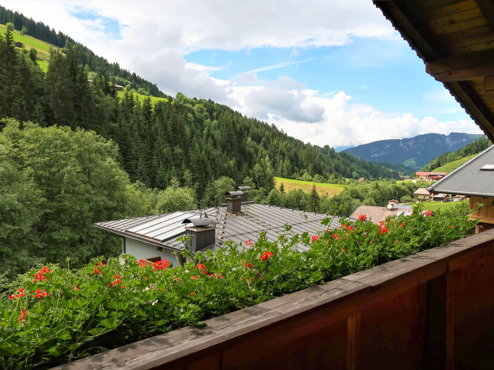 Fichtenblick-Dehors