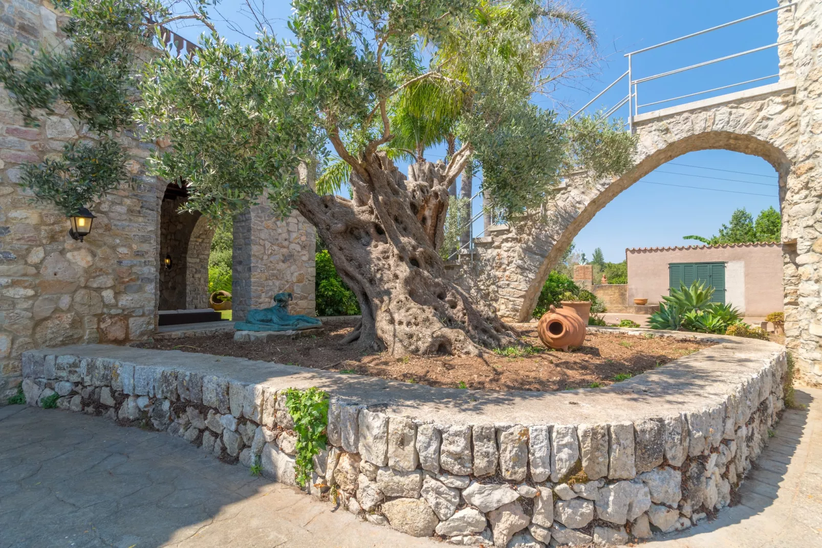 Buitre negro, Finca 5StarsHome Mallorca-Outdoor