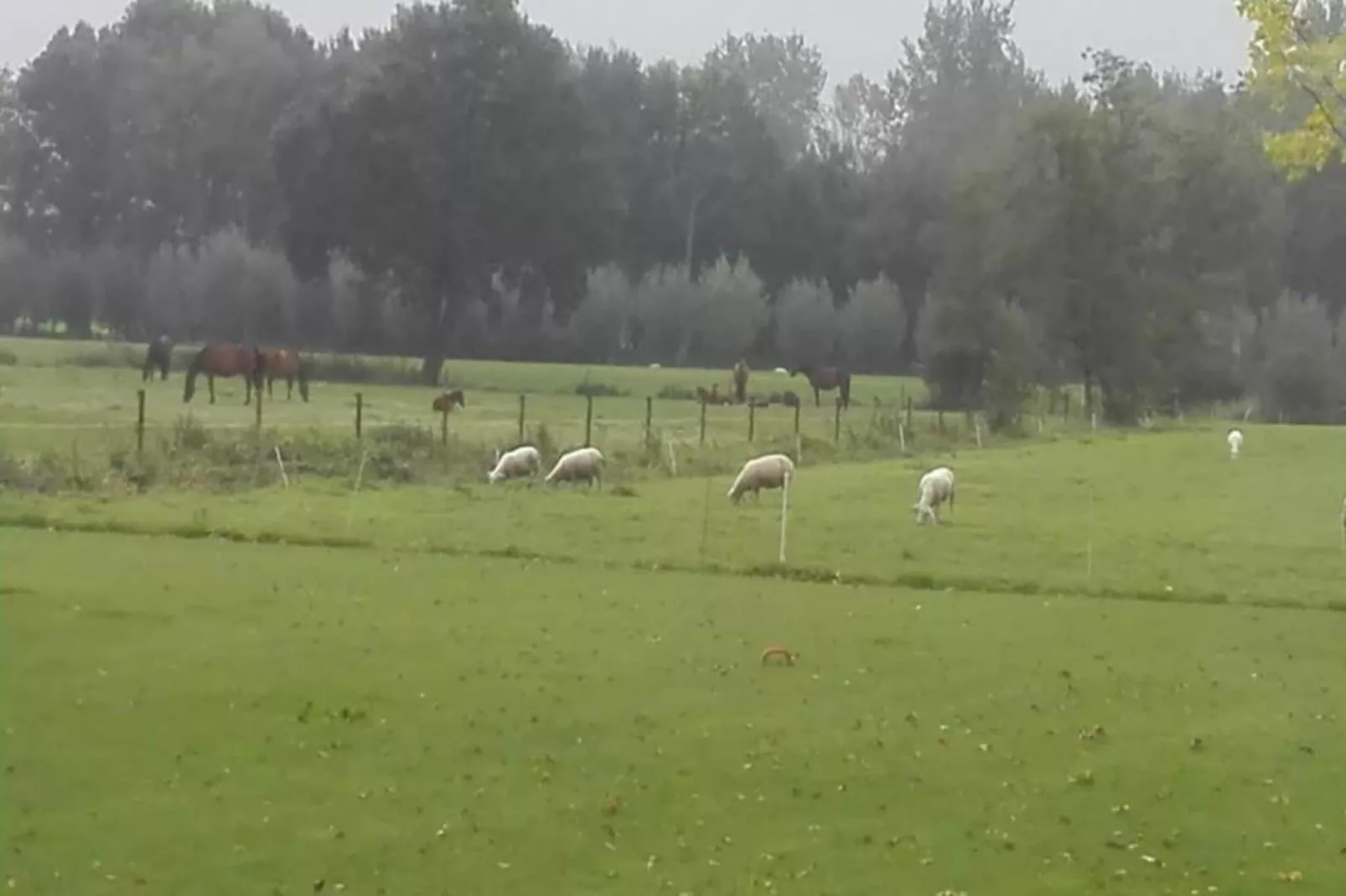 De oude stal-Gebiete Sommer 20 km