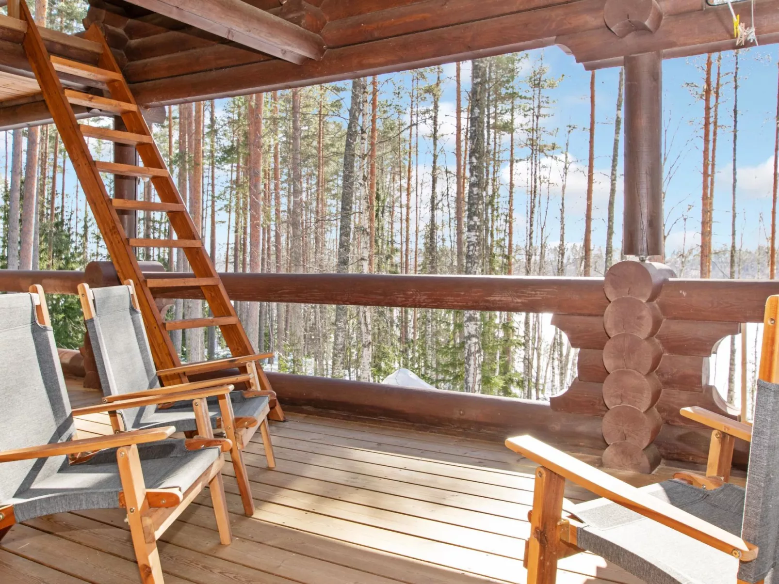 Tuohiniemi-Dedans