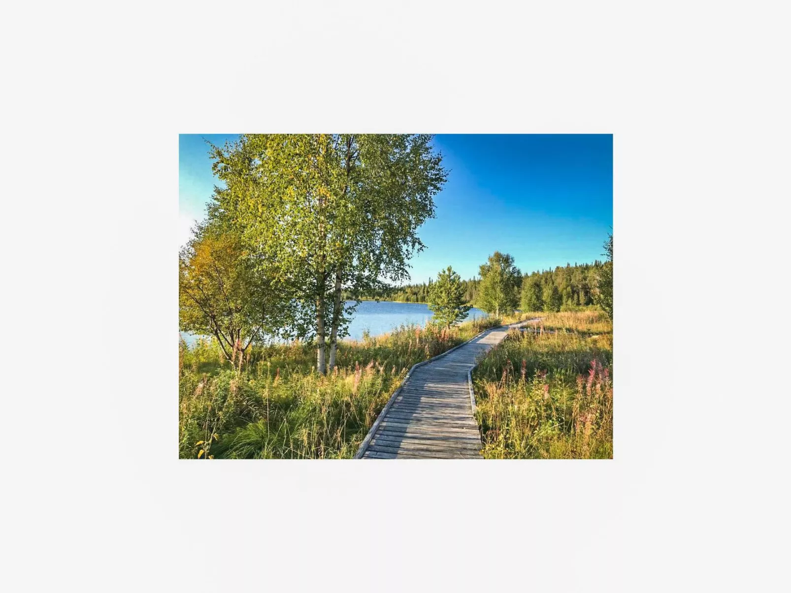 Örtsylä b-Dehors