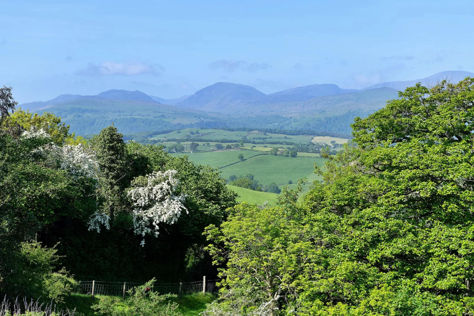 Red Kites Retreat-Areas summer 20km