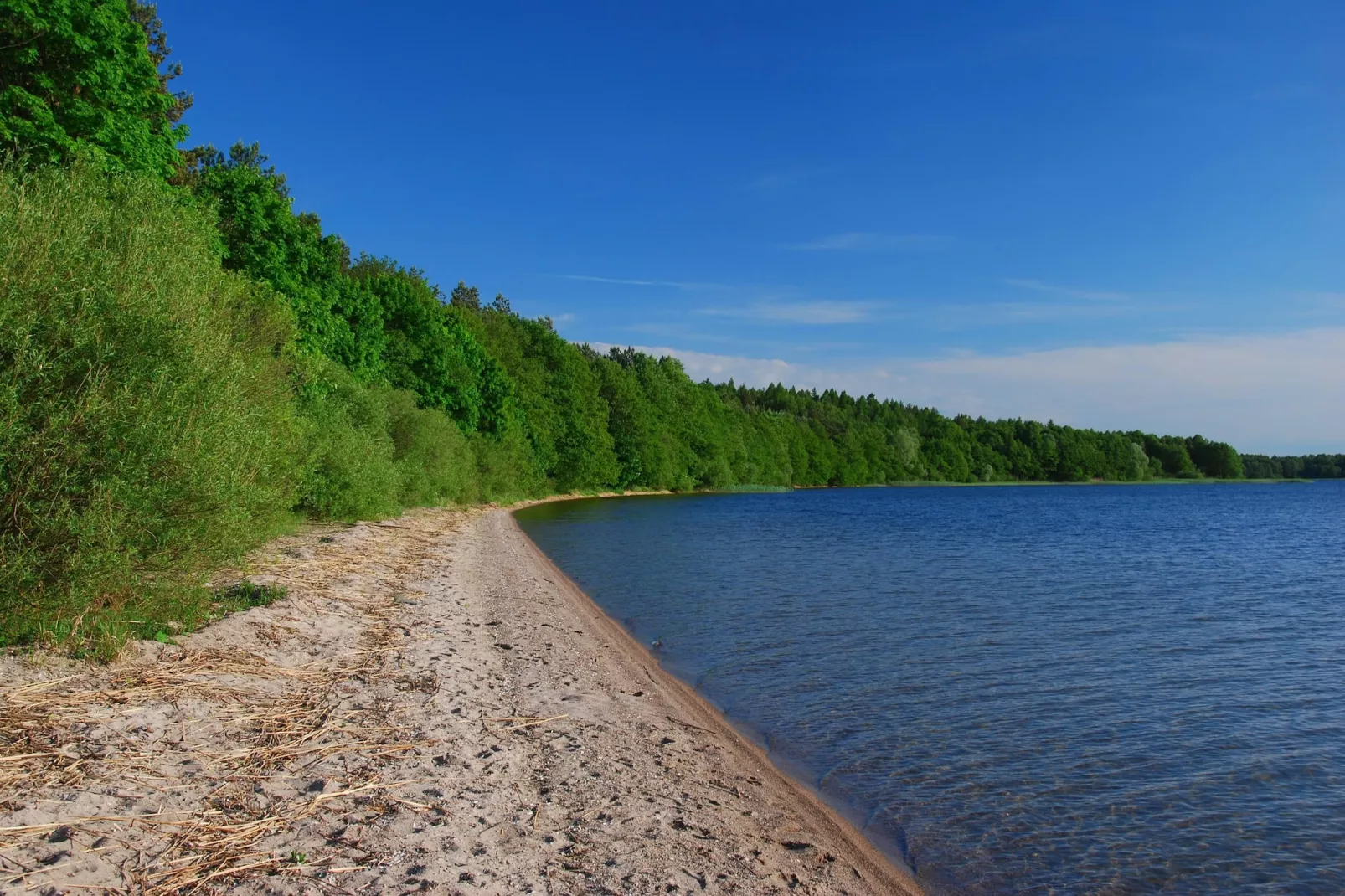 	Domek wakacyjny LAWENDA dla max 4 osób Grąbczyn-Areas summer 1km