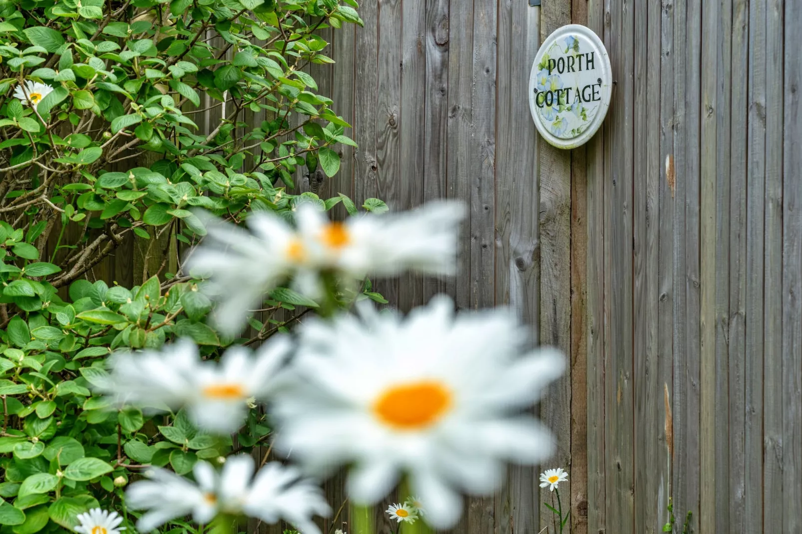 Porth Cottage-Gardens summer