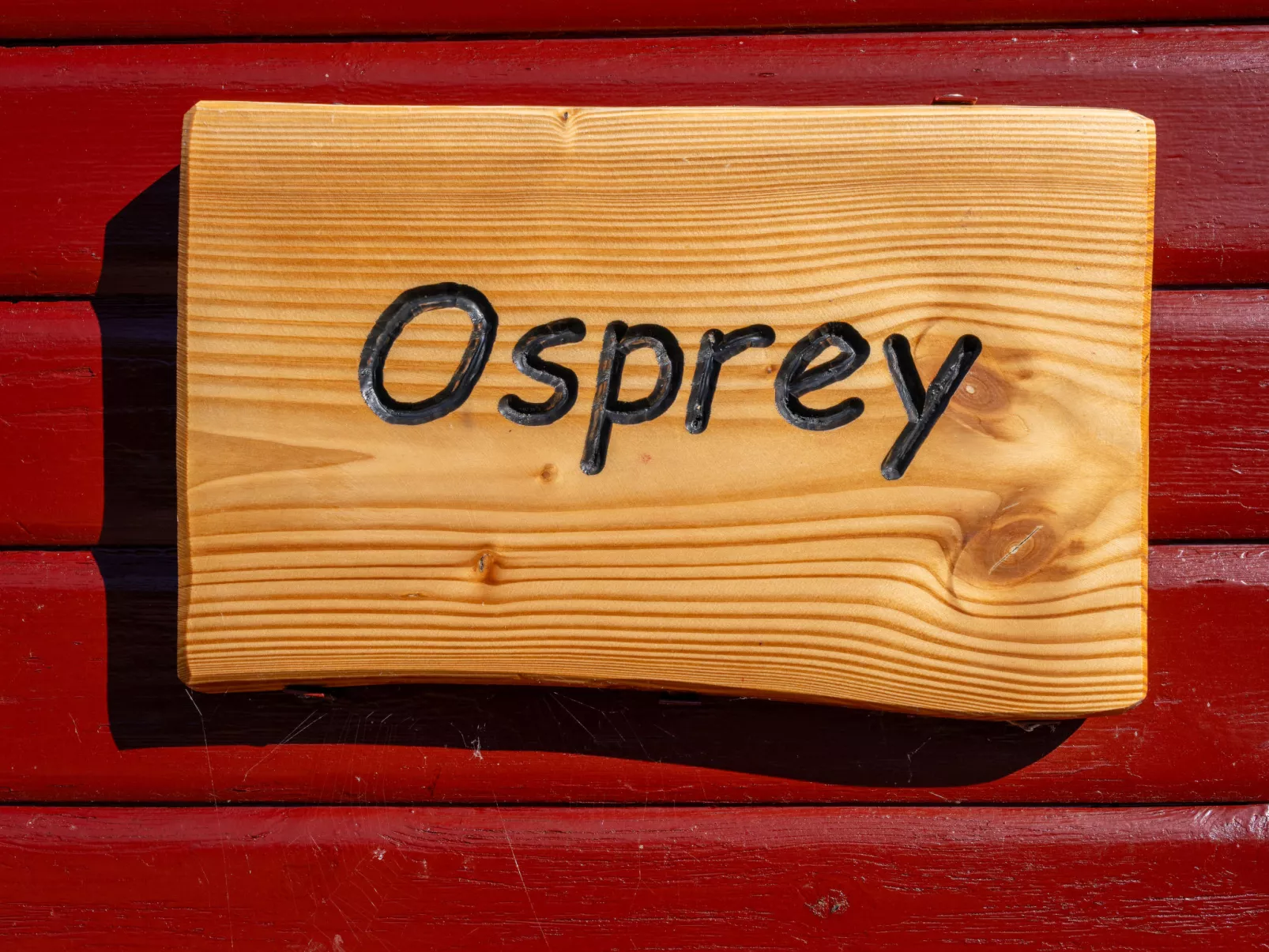 Osprey Lodge-Outside