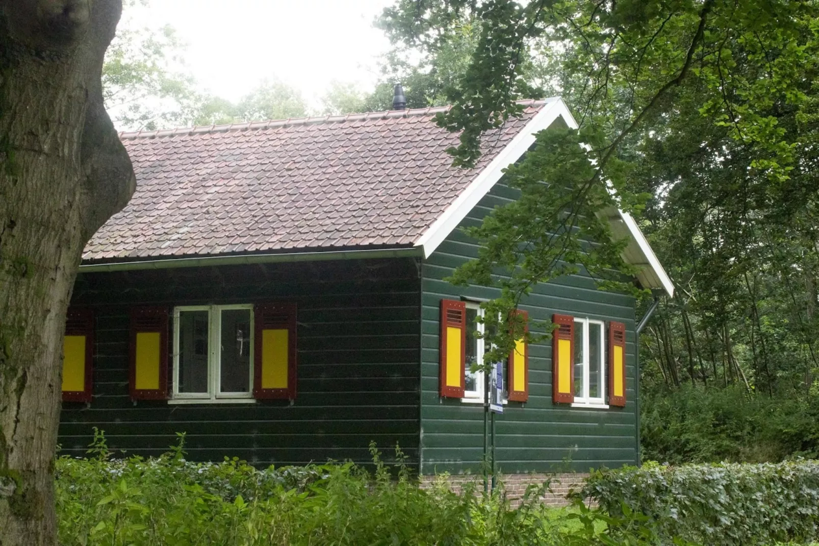 Chalet Meerkoet-Zones d'été à 5 km